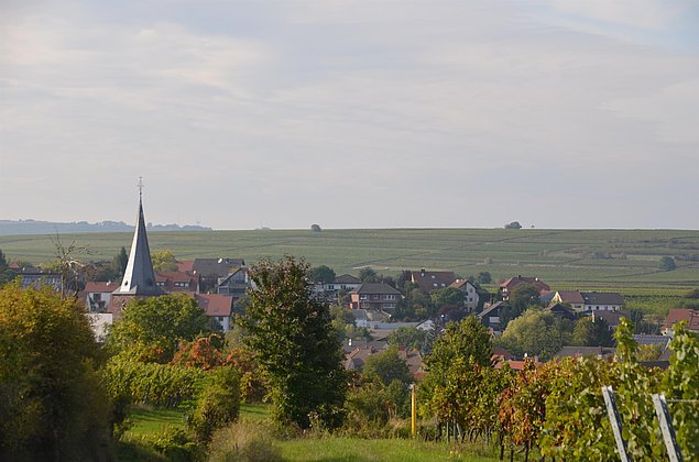 Blick auf Großkarlbach mit Kirchturm