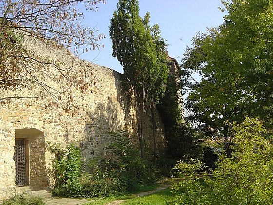 Freinsheim - Stadtmauer Bild 3