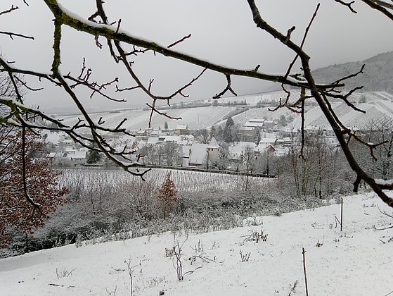 Winter in Leinsweiler