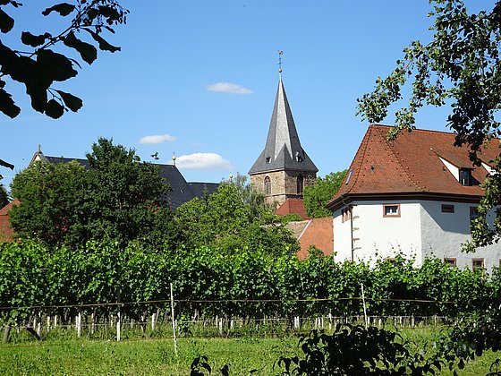 Blick auf Kirchturm / Edelhof