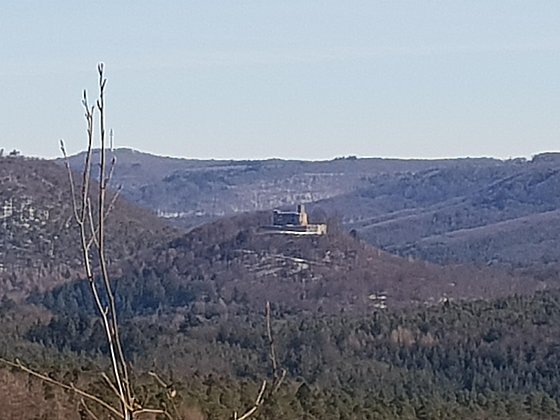 Blick auf Burg Gräfenstein