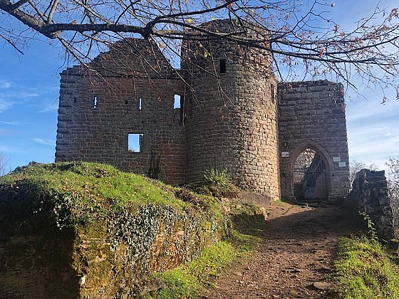 Burg Scharfeneck__