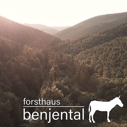 Ansicht © Forsthaus Benjental