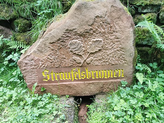 Straufelsbrunnen - Brunnenweg - Esthal