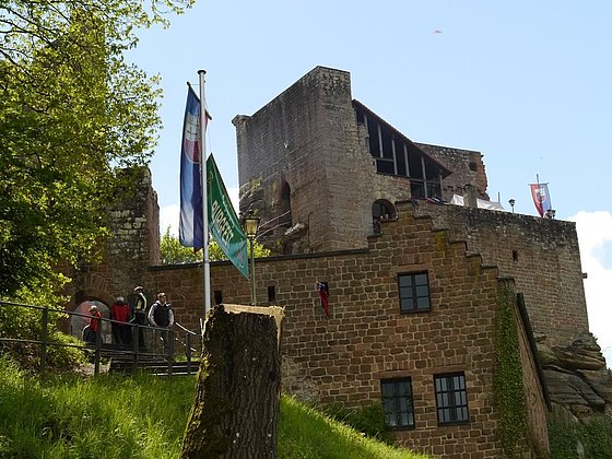 Burg Spangenberg