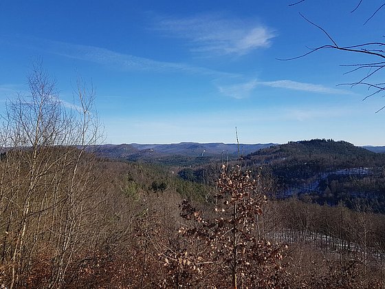 Panoramablick vom Kurzelberg