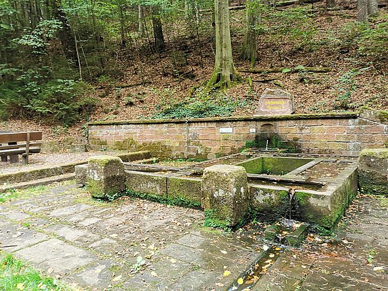 Schelmenteichbrunnen - Brunnenweg - Esthal